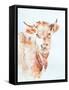 Village Cow-Aimee Del Valle-Framed Stretched Canvas