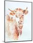 Village Cow-Aimee Del Valle-Mounted Art Print