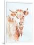 Village Cow-Aimee Del Valle-Framed Art Print