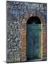 Village Door, Cinque Terre, Italy-Marilyn Parver-Mounted Photographic Print