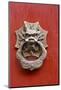 Village Door with Ornate Dragon Knocker, Zhujiajiao, China-Cindy Miller Hopkins-Mounted Photographic Print
