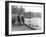 Village Duck Pond Scene, Tickhill, Doncaster, South Yorkshire, 1961-Michael Walters-Framed Premium Photographic Print