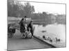 Village Duck Pond Scene, Tickhill, Doncaster, South Yorkshire, 1961-Michael Walters-Mounted Photographic Print