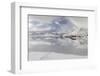 Village Fredvang on the island Moskenesoya. The Lofoten Islands in northern Norway during winter.-Martin Zwick-Framed Photographic Print