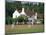 Village Green Cricket, Tilford, Surrey, England, UK-Rolf Richardson-Mounted Photographic Print