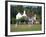 Village Green Cricket, Tilford, Surrey, England, UK-Rolf Richardson-Framed Photographic Print