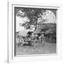 Village Home Built of Bamboo and Leaves, Burma, 1908-null-Framed Photographic Print