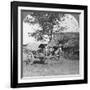 Village Home Built of Bamboo and Leaves, Burma, 1908-null-Framed Photographic Print