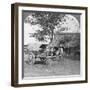 Village Home Built of Bamboo and Leaves, Burma, 1908-null-Framed Photographic Print