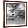 Village Home Built of Bamboo and Leaves, Burma, 1908-null-Framed Photographic Print