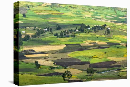 Village house and farmland in the mountain, Gondar, Ethiopia-Keren Su-Stretched Canvas