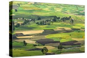 Village house and farmland in the mountain, Gondar, Ethiopia-Keren Su-Stretched Canvas