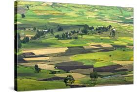 Village house and farmland in the mountain, Gondar, Ethiopia-Keren Su-Stretched Canvas