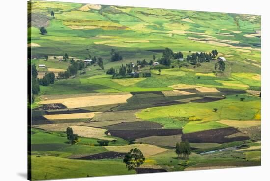 Village house and farmland in the mountain, Gondar, Ethiopia-Keren Su-Stretched Canvas