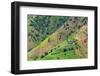 Village house and farmland on mountain slope, Simien Mountain, Ethiopia-Keren Su-Framed Photographic Print