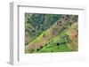 Village house and farmland on mountain slope, Simien Mountain, Ethiopia-Keren Su-Framed Photographic Print