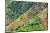 Village house and farmland on mountain slope, Simien Mountain, Ethiopia-Keren Su-Mounted Photographic Print