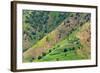 Village house and farmland on mountain slope, Simien Mountain, Ethiopia-Keren Su-Framed Photographic Print