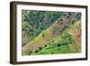 Village house and farmland on mountain slope, Simien Mountain, Ethiopia-Keren Su-Framed Photographic Print