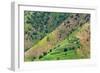 Village house and farmland on mountain slope, Simien Mountain, Ethiopia-Keren Su-Framed Photographic Print