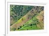 Village house and farmland on mountain slope, Simien Mountain, Ethiopia-Keren Su-Framed Premium Photographic Print