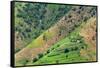 Village house and farmland on mountain slope, Simien Mountain, Ethiopia-Keren Su-Framed Stretched Canvas