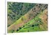 Village house and farmland on mountain slope, Simien Mountain, Ethiopia-Keren Su-Framed Photographic Print