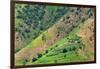 Village house and farmland on mountain slope, Simien Mountain, Ethiopia-Keren Su-Framed Photographic Print