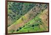 Village house and farmland on mountain slope, Simien Mountain, Ethiopia-Keren Su-Framed Photographic Print