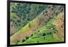 Village house and farmland on mountain slope, Simien Mountain, Ethiopia-Keren Su-Framed Photographic Print