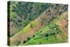 Village house and farmland on mountain slope, Simien Mountain, Ethiopia-Keren Su-Stretched Canvas