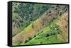 Village house and farmland on mountain slope, Simien Mountain, Ethiopia-Keren Su-Framed Stretched Canvas