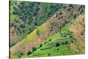 Village house and farmland on mountain slope, Simien Mountain, Ethiopia-Keren Su-Stretched Canvas