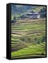 Village House and Rice Terraces in Metshina Village, Bhutan-Keren Su-Framed Stretched Canvas