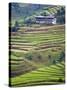 Village House and Rice Terraces in Metshina Village, Bhutan-Keren Su-Stretched Canvas