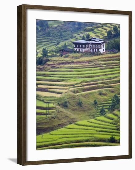 Village House and Rice Terraces in Metshina Village, Bhutan-Keren Su-Framed Photographic Print