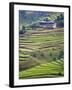 Village House and Rice Terraces in Metshina Village, Bhutan-Keren Su-Framed Photographic Print