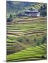 Village House and Rice Terraces in Metshina Village, Bhutan-Keren Su-Mounted Photographic Print