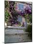 Village House Covered with Bougainvillea, Grimaud, Var, Cote d'Azur, Provence, France-Ruth Tomlinson-Mounted Photographic Print