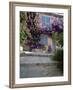 Village House Covered with Bougainvillea, Grimaud, Var, Cote d'Azur, Provence, France-Ruth Tomlinson-Framed Photographic Print