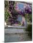 Village House Covered with Bougainvillea, Grimaud, Var, Cote d'Azur, Provence, France-Ruth Tomlinson-Mounted Photographic Print