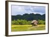 Village House on the Shore of Kaladan River, Rakhine State, Myanmar-Keren Su-Framed Photographic Print