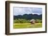 Village House on the Shore of Kaladan River, Rakhine State, Myanmar-Keren Su-Framed Photographic Print