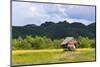 Village House on the Shore of Kaladan River, Rakhine State, Myanmar-Keren Su-Mounted Photographic Print