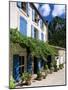 Village House with Blue Shutters, Lapradelle-Puilaurens, Aude, Languedoc-Roussillon, France-Ruth Tomlinson-Mounted Photographic Print