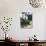 Village House with Blue Shutters, Lapradelle-Puilaurens, Aude, Languedoc-Roussillon, France-Ruth Tomlinson-Photographic Print displayed on a wall