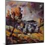 Village In Autumn 7741-Pol Ledent-Mounted Art Print