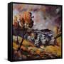 Village In Autumn 7741-Pol Ledent-Framed Stretched Canvas