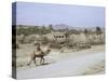 Village in Baluchistan, Iran, Middle East-Desmond Harney-Stretched Canvas