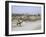 Village in Baluchistan, Iran, Middle East-Desmond Harney-Framed Photographic Print